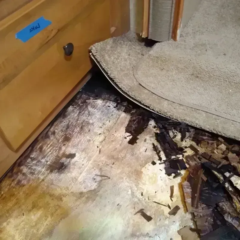 Wood Floor Water Damage in Kings Beach, CA